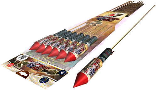  Ракеты Союз-Аполлон  в Кингисеппе